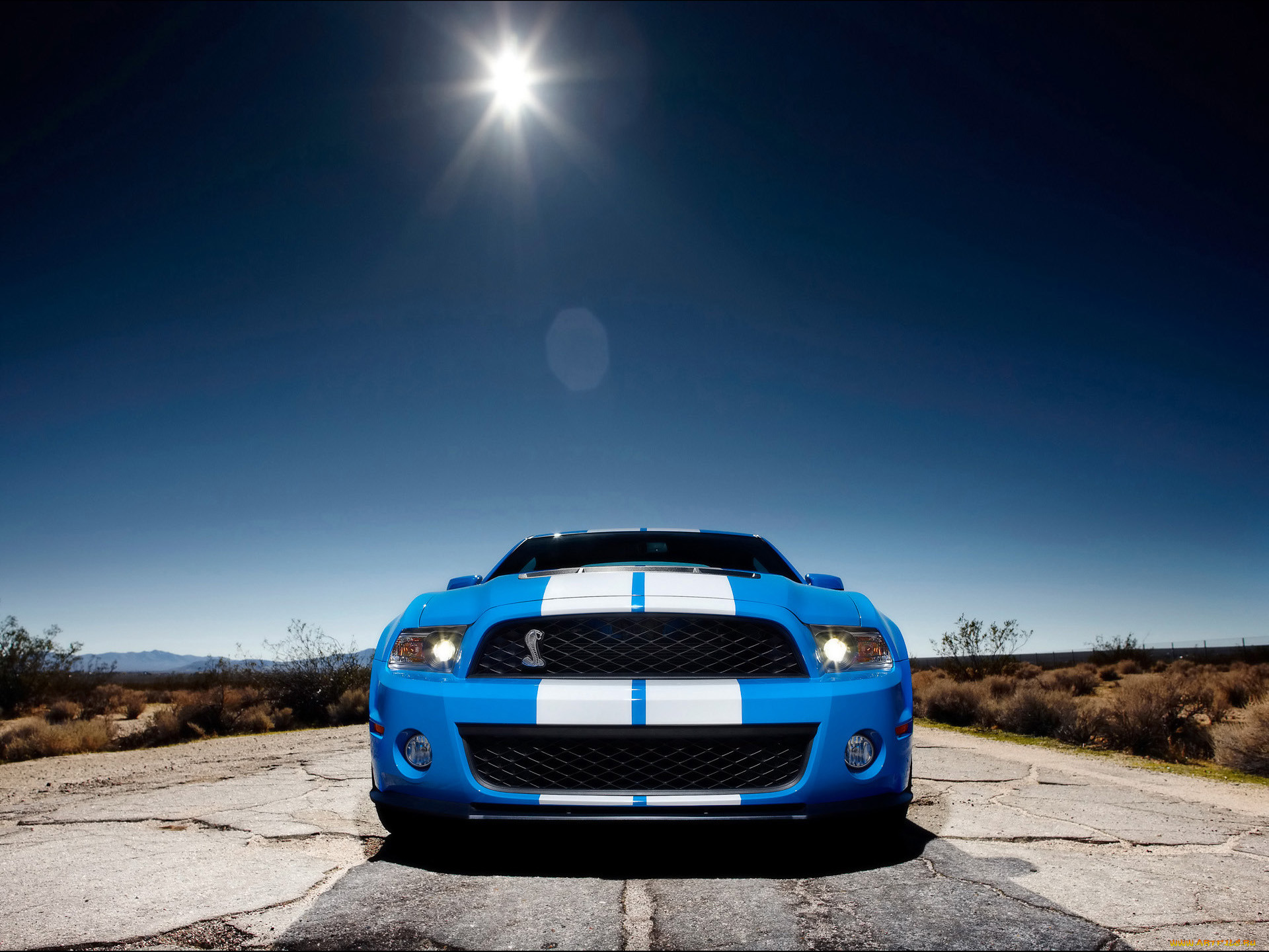 2010, ford, shelby, gt500, 